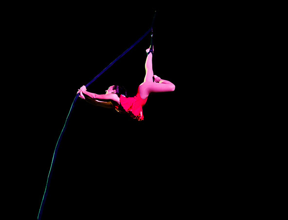 Aerialists Brisbane - Trapeze Artists - Aerial Entertainment